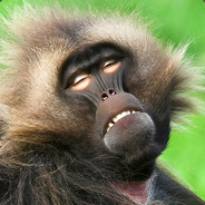 Content Baboon