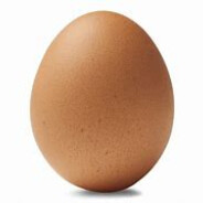 Egg™