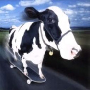 awesome cow on a skateboard