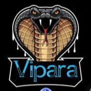 {YT}Viper aka Vipara LP