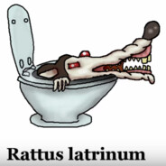 Rattus Latrinum
