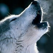 WolfWall