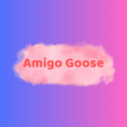 Amigo Goose
