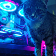 Cyber Cat 😺