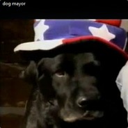 dog mayor