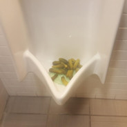 piss pickles