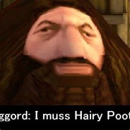 PS1 Hagrid