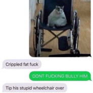 Lil Willy in a Wheelchair