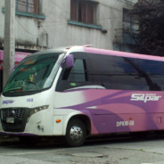 Buses Silpar