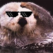 You Otter Deal With It