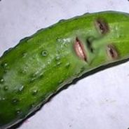TheDroopyPickle