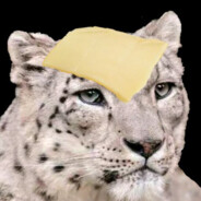 Cheese Snow Leopard