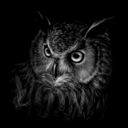 owl. (fka: JCrok)