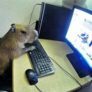 capybara gamer