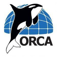 ORCA369