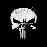 ***The Punisher***