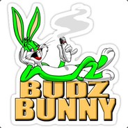 Bunny#17