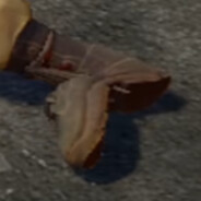 That one shoe from a FJ video