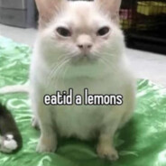 eatid a lemons