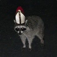 Level 24 Raccoon Priest
