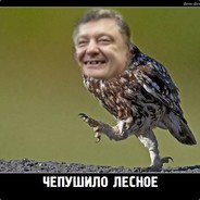 ���� ������. ��������� �������� ��������!