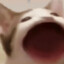 Skittle_q