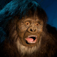 TrunkMonkey