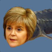 Fish person's avatar