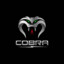 COBRA's avatar