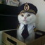 Admiral Meow