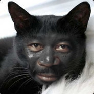 vikzkJ