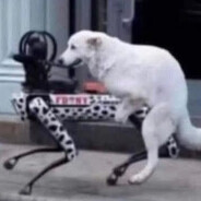ⅧⅧⅧⅧⅧⅧⅧⅧⅧⅧⅧⅧⅧⅧⅧⅧⅧⅧⅧⅧⅧ