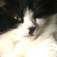 21XS - steam id 76561197962269921