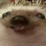 давай давай давай