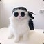 Yorn
