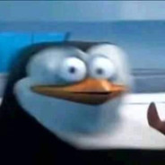 AsianFlamingo avatar