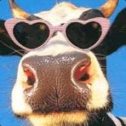 lovecow - steam id 76561197961888953