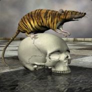 MrBloody369