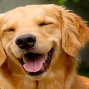<>