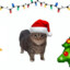 Auen