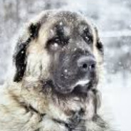 Uğur Soğutma Sistemleri's Avatar