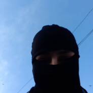 Pitbull arena.elitegamers.ro