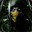 Group Avatar