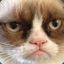 GrumpyCat