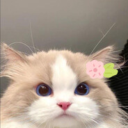JaoNam