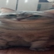 1110101001010
