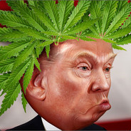 Donald Furmp