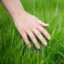 Grass toucher