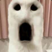 yhk