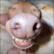 Kadafinho